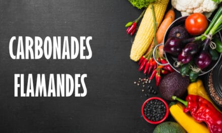 Carbonades flamandes